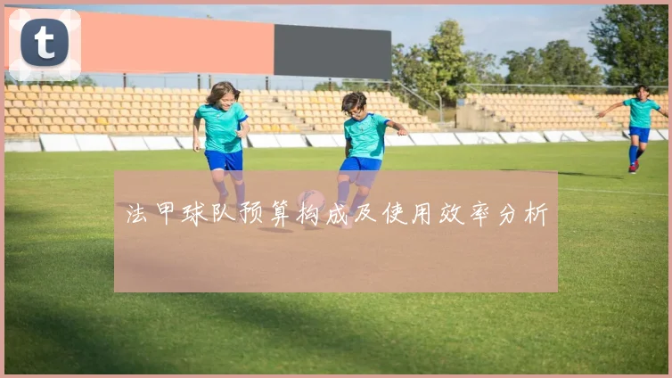 法甲球队预算构成及使用效率分析