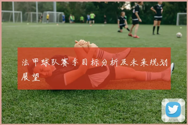 法甲球队赛季目标分析及未来规划展望