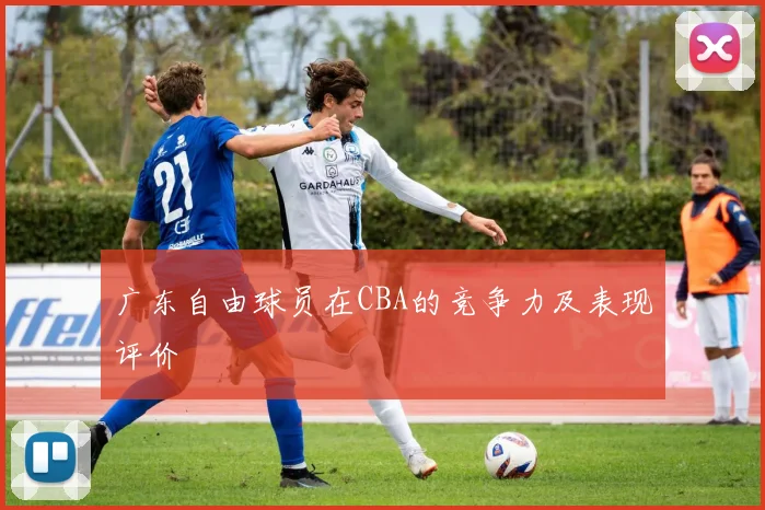 广东自由球员在CBA的竞争力及表现评价