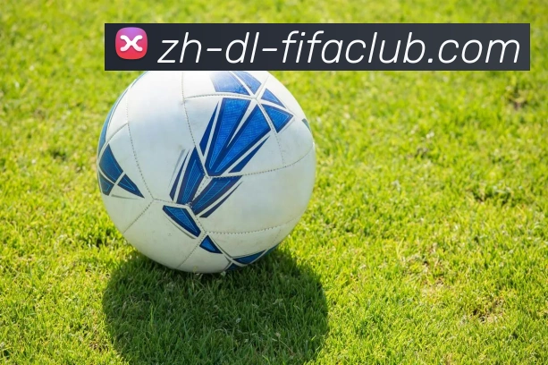 火箭队2005年球员名单回顾及球队变化解析